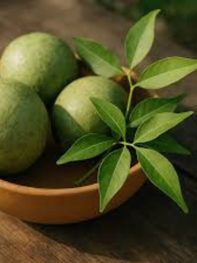 कई बीमारियों से बचाते हैं बेल के पत्ते